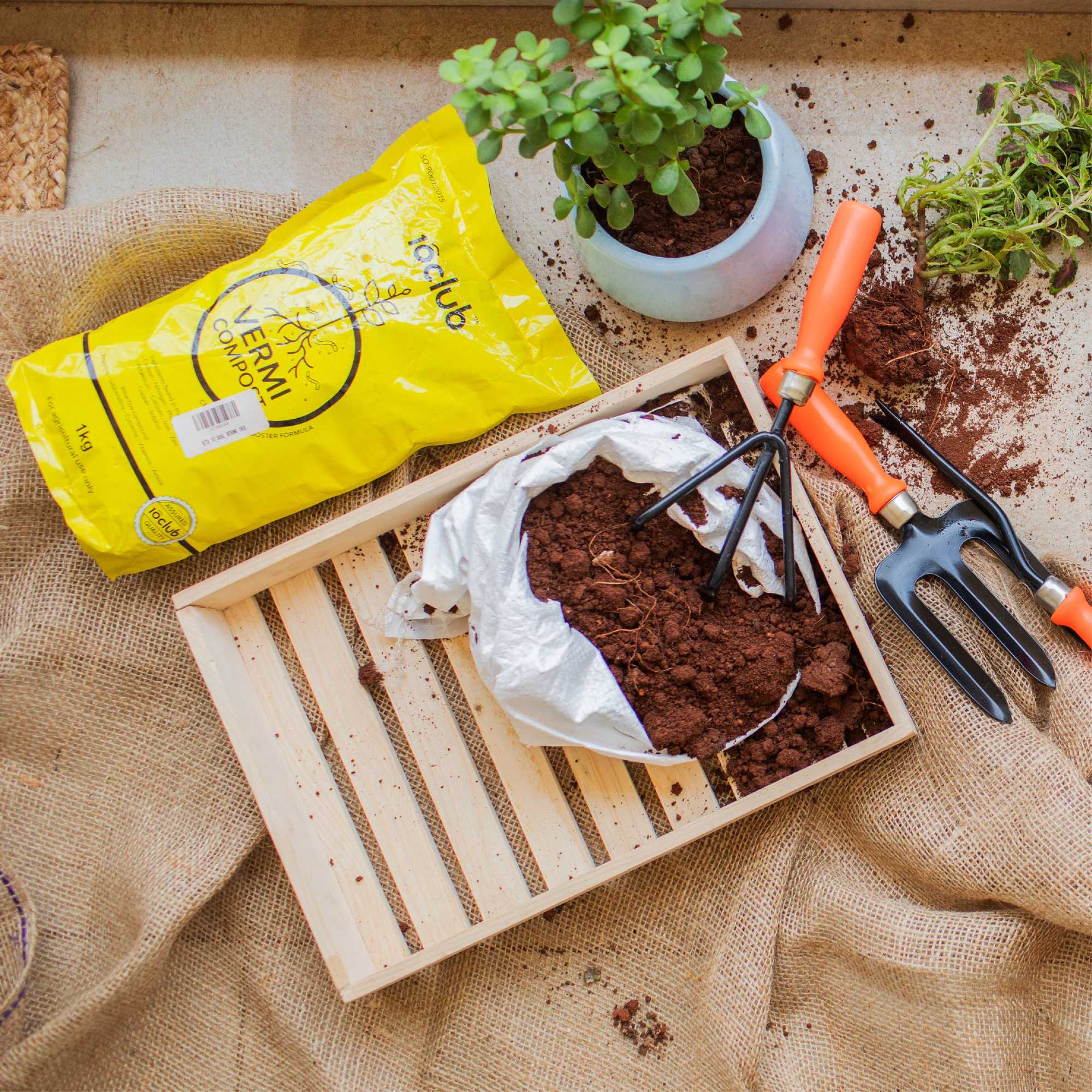 Vermicompost | Organic Fertilizer - Image 13