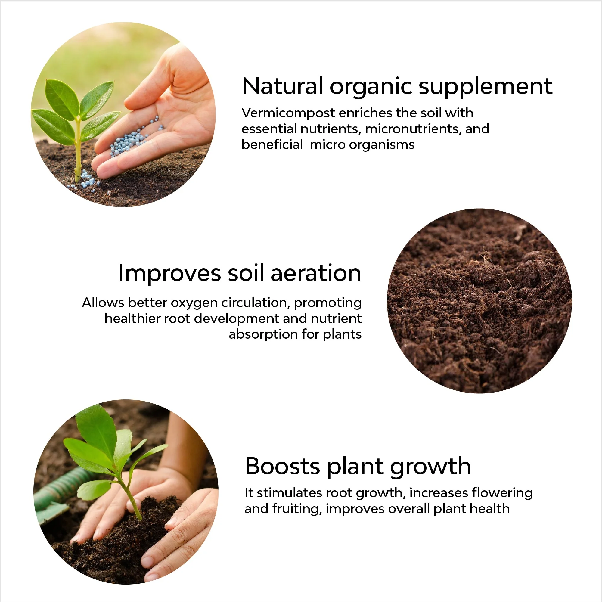 Vermicompost | Organic Fertilizer - Image 22