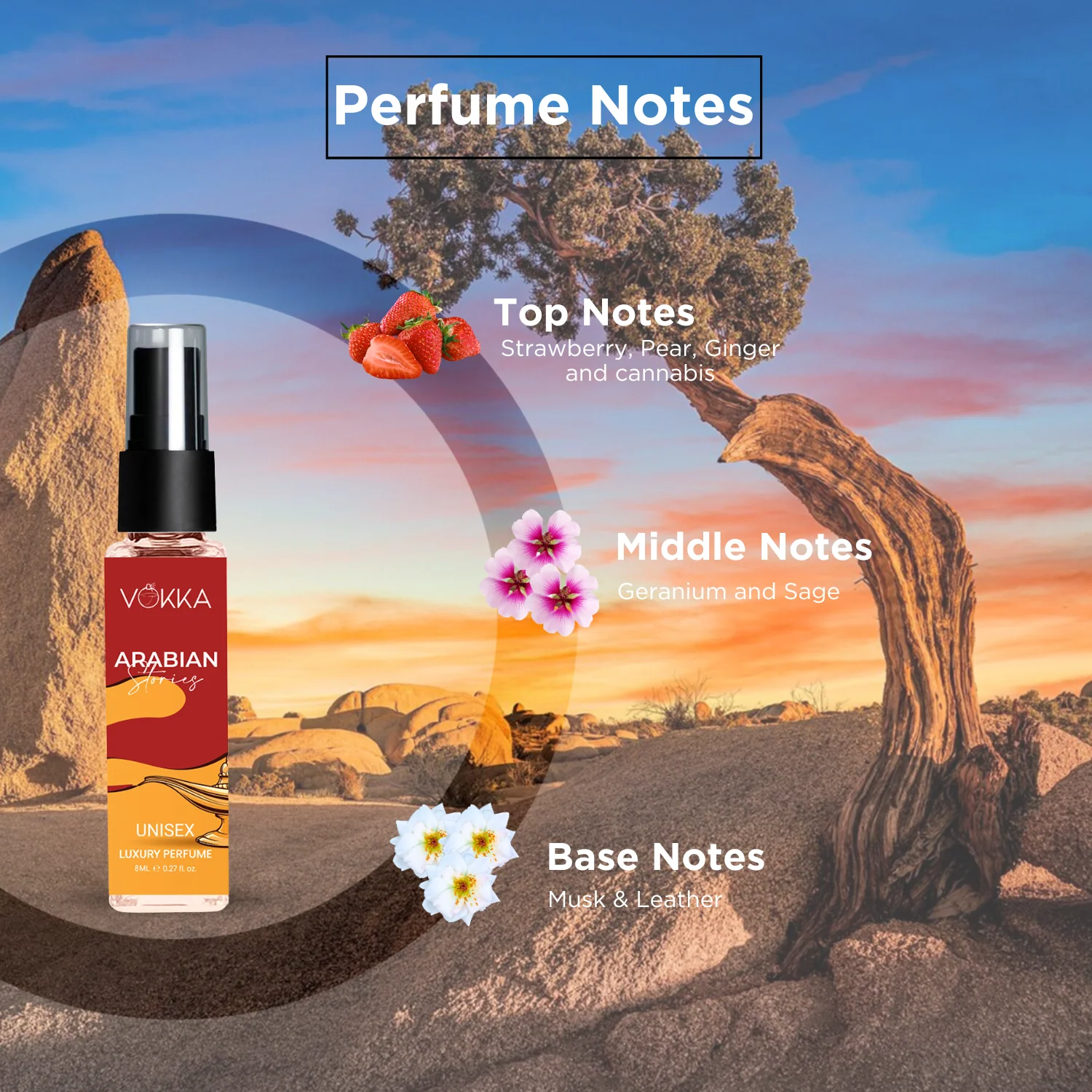 Vokka Pocket Perfume Arabian Stories 8ml | Unisex Luxury Long Lasting Arabian Perfume For Men & Women | Arabic Fruity Scent Eau De Parfum | EDP Fragrance for Gift | Notes: Fruity Musky - Image 3