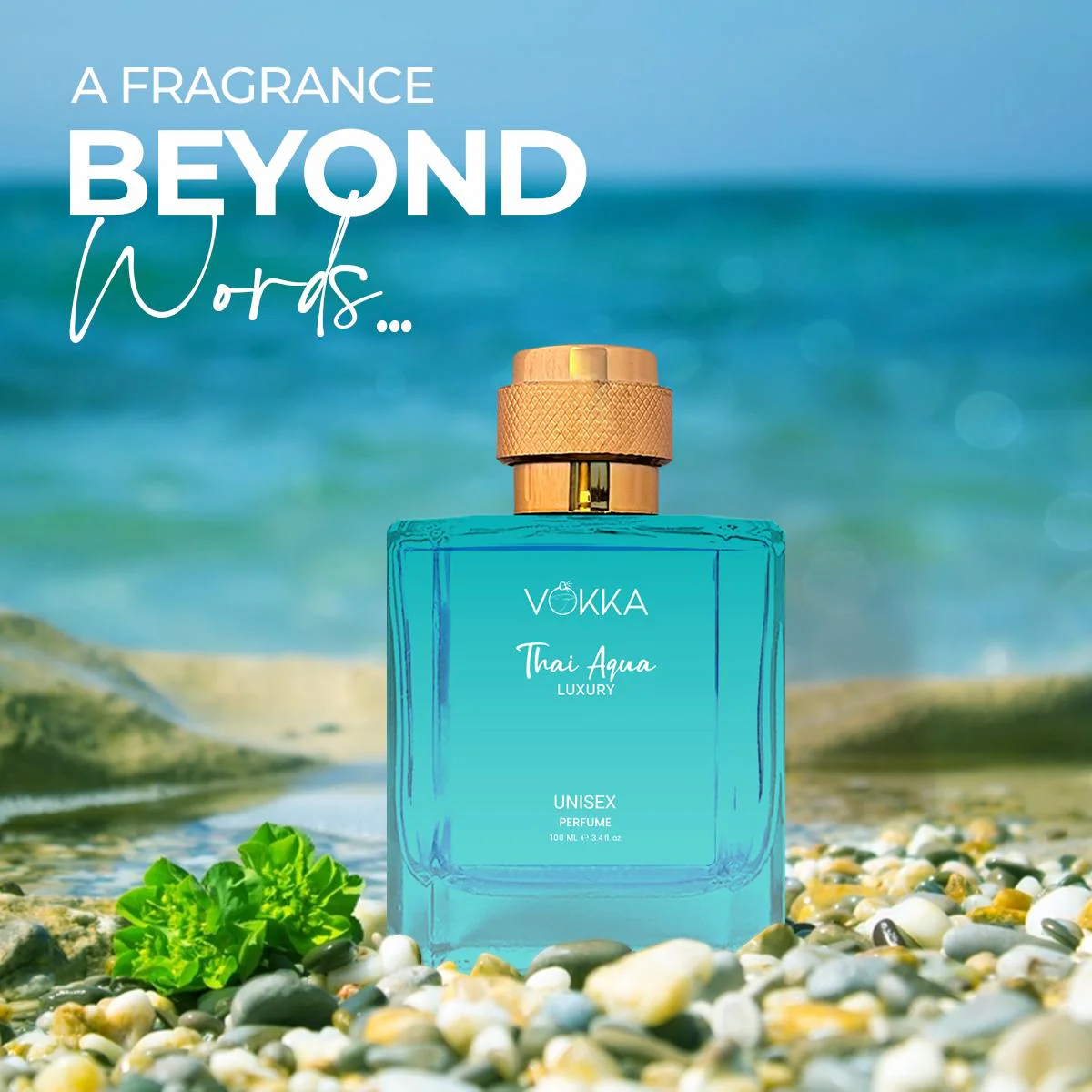 VOKKA Thai Oud & Thai Aqua 100 ml (Pack of 2) Luxury Long Lasting Perfume - Image 3