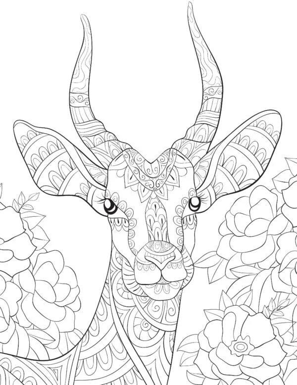 Wilderness- Colouring Book for Adults - Image 2