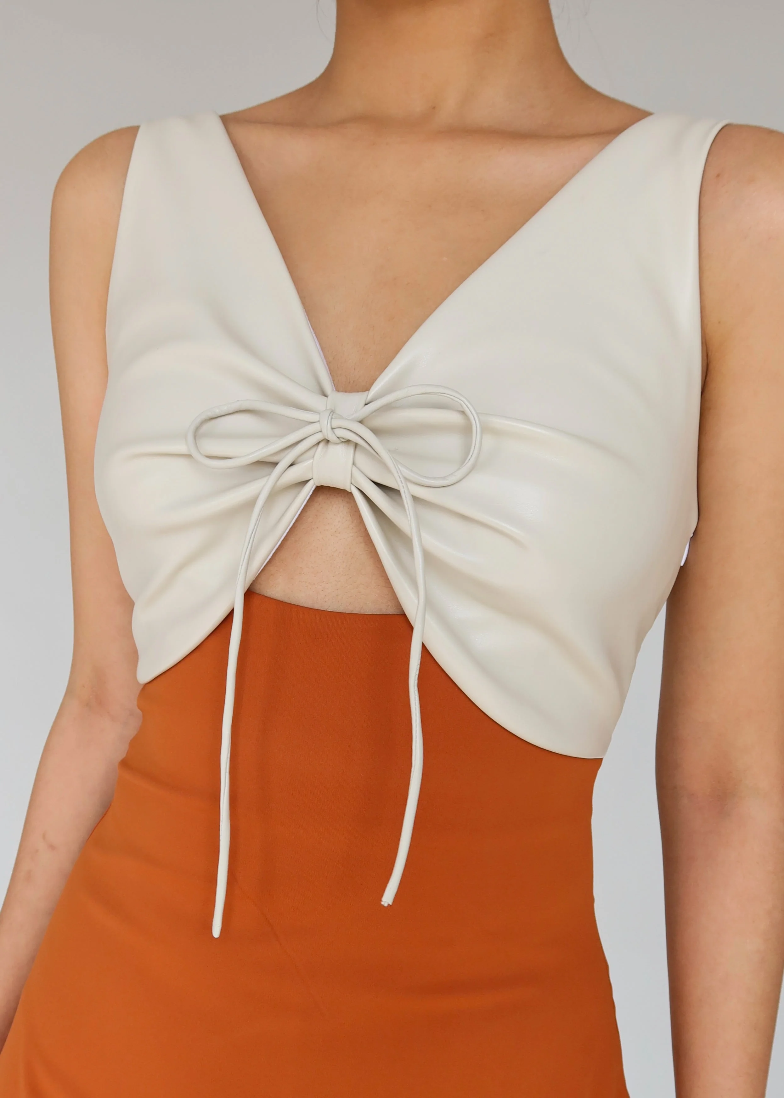 Windsor Tan A-Line Dress - Image 3