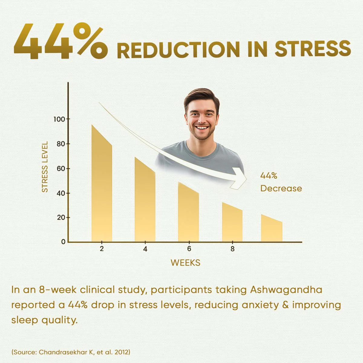 YogaManLab® Ashwagandha Tablets - 100% Lab Certified | Xtra Energy Booster & Stress Reliever - 30 Tablets - Image 5